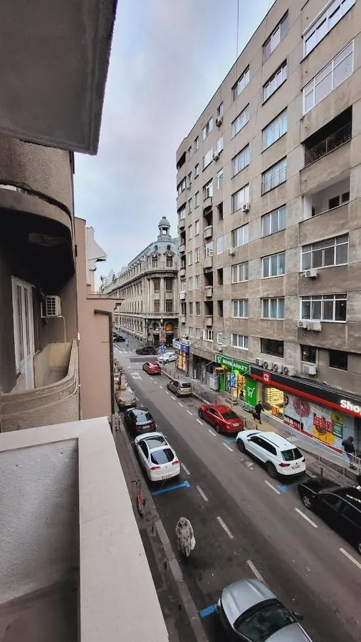 Imob Bibi House Universitate Bucharest Apartment