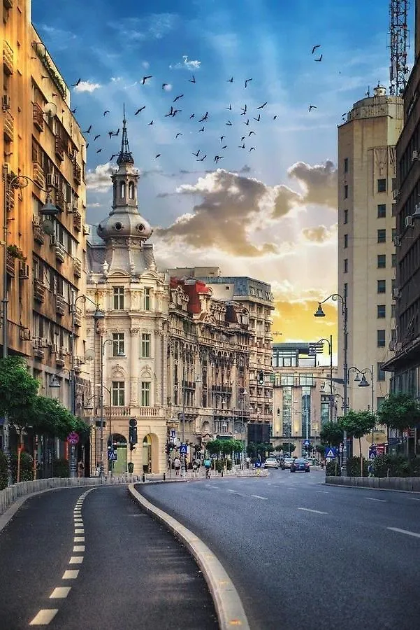 Apartment Imob Bibi House Universitate Bucharest